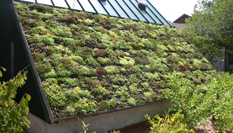 telhado verde
